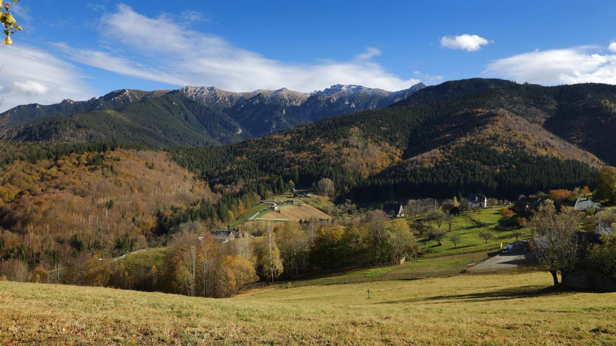 Pensiunea Montan Din Bran,Sat Simon Spa Indoor Bran  Exteriör bild